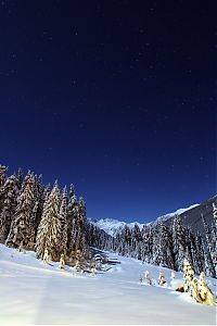 winter photography