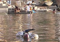 TopRq.com search results: Pollution of the Ganges, Ganges river, India