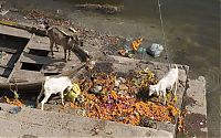 World & Travel: Pollution of the Ganges, Ganges river, India