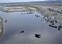 TopRq.com search results: Pollution of the Ganges, Ganges river, India