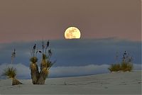 TopRq.com search results: White Sands National Monument, New Mexico, United States