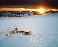 TopRq.com search results: White Sands National Monument, New Mexico, United States