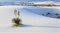 TopRq.com search results: White Sands National Monument, New Mexico, United States