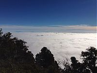 TopRq.com search results: Grand Canyon covered in fog, Arizona, United States