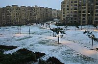 TopRq.com search results: 2013 Middle East cold snap, Alexa winter storm, Cairo, Egypt