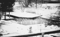 World & Travel: Chernobyl in winter, Pripyat, Kiev Oblast, Ukraine