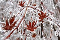 World & Travel: 2013 Central and Eastern Canada ice storm, Toronto, Ontario, Canada