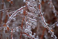 World & Travel: 2013 Central and Eastern Canada ice storm, Toronto, Ontario, Canada