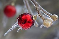 TopRq.com search results: 2013 Central and Eastern Canada ice storm, Toronto, Ontario, Canada