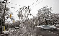 TopRq.com search results: 2013 Central and Eastern Canada ice storm, Toronto, Ontario, Canada