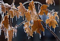 World & Travel: 2013 Central and Eastern Canada ice storm, Toronto, Ontario, Canada