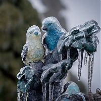 World & Travel: 2013 Central and Eastern Canada ice storm, Toronto, Ontario, Canada