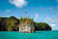 World & Travel: Jellyfish Lake, Eil Malk island, Palau, Pacific Ocean