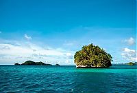 World & Travel: Jellyfish Lake, Eil Malk island, Palau, Pacific Ocean