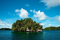 World & Travel: Jellyfish Lake, Eil Malk island, Palau, Pacific Ocean