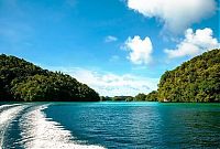 TopRq.com search results: Jellyfish Lake, Eil Malk island, Palau, Pacific Ocean