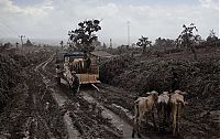 TopRq.com search results: Mount Sinabung, January 2014 eruption, Karo Regency, North Sumatra, Indonesia