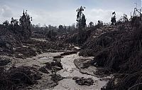 TopRq.com search results: Mount Sinabung, January 2014 eruption, Karo Regency, North Sumatra, Indonesia