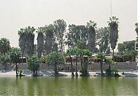 TopRq.com search results: Huacachina, Oasis of America, Ica Region, Peru