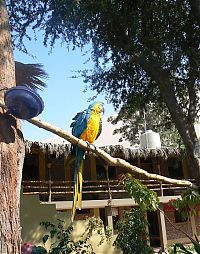 World & Travel: Huacachina, Oasis of America, Ica Region, Peru