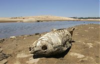 TopRq.com search results: Folsom Lake reservoir, Sacramento, American River, Northern California, United States