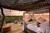 TopRq.com search results: Lion Sands Private Game Reserve, Kruger National Park, South Africa