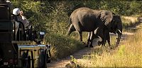 TopRq.com search results: Lion Sands Private Game Reserve, Kruger National Park, South Africa