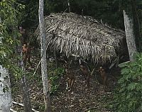 World & Travel: Lost uncontacted tribe, Alto Tarauacá, Acre state, Brazil