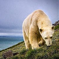 TopRq.com search results: National Geographic Photography