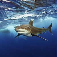 National Geographic Photography