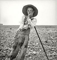 TopRq.com search results: History: The Great Depression by Dorothea Lange, 1939-1943, United States