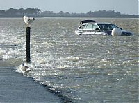 World & Travel: Le Passage de Gois ou Gôa, Île de Noirmoutier, Beauvoir-sur-Mer, Vendée, Pays de la Loire, France, Atlantic Ocean