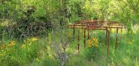 World & Travel: Chernobyl Nuclear Power Plant exclusion zone, Pripyat, Ivankiv Raion, Ukraine