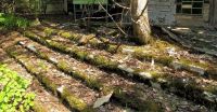 World & Travel: Chernobyl Nuclear Power Plant exclusion zone, Pripyat, Ivankiv Raion, Ukraine