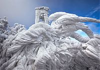 TopRq.com search results: Extreme windswept ice formations by Marko Korošec, Mount Javornik, Dinarides, Slovenia