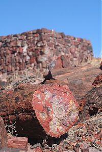 TopRq.com search results: Petrified Forest National Park, Navajo, Apache, Arizona, United States