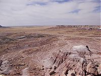 TopRq.com search results: Petrified Forest National Park, Navajo, Apache, Arizona, United States