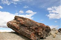 TopRq.com search results: Petrified Forest National Park, Navajo, Apache, Arizona, United States