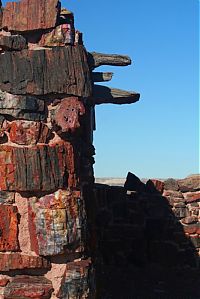 World & Travel: Petrified Forest National Park, Navajo, Apache, Arizona, United States