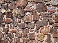 World & Travel: Petrified Forest National Park, Navajo, Apache, Arizona, United States