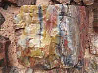 World & Travel: Petrified Forest National Park, Navajo, Apache, Arizona, United States