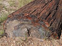 World & Travel: Petrified Forest National Park, Navajo, Apache, Arizona, United States