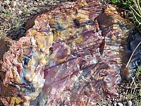 World & Travel: Petrified Forest National Park, Navajo, Apache, Arizona, United States