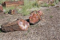 TopRq.com search results: Petrified Forest National Park, Navajo, Apache, Arizona, United States