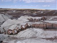 TopRq.com search results: Petrified Forest National Park, Navajo, Apache, Arizona, United States