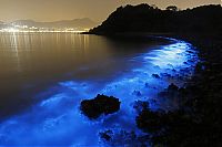 TopRq.com search results: Bioluminescent phytoplankton, Hong Kong, China