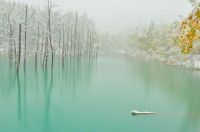 World & Travel: Aoiike, Blue Pond, Biei, Shirogane Onsen, Kamikawa (Ishikari) District, Hokkaido, Japan