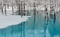 World & Travel: Aoiike, Blue Pond, Biei, Shirogane Onsen, Kamikawa (Ishikari) District, Hokkaido, Japan