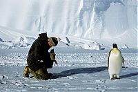 TopRq.com search results: 1955–58 Commonwealth Trans-Antarctic Expedition, Antarctic Plateau, Antarctica