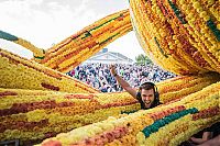 World & Travel: Bloemencorso, Flower Parade Pageant, Netherlands